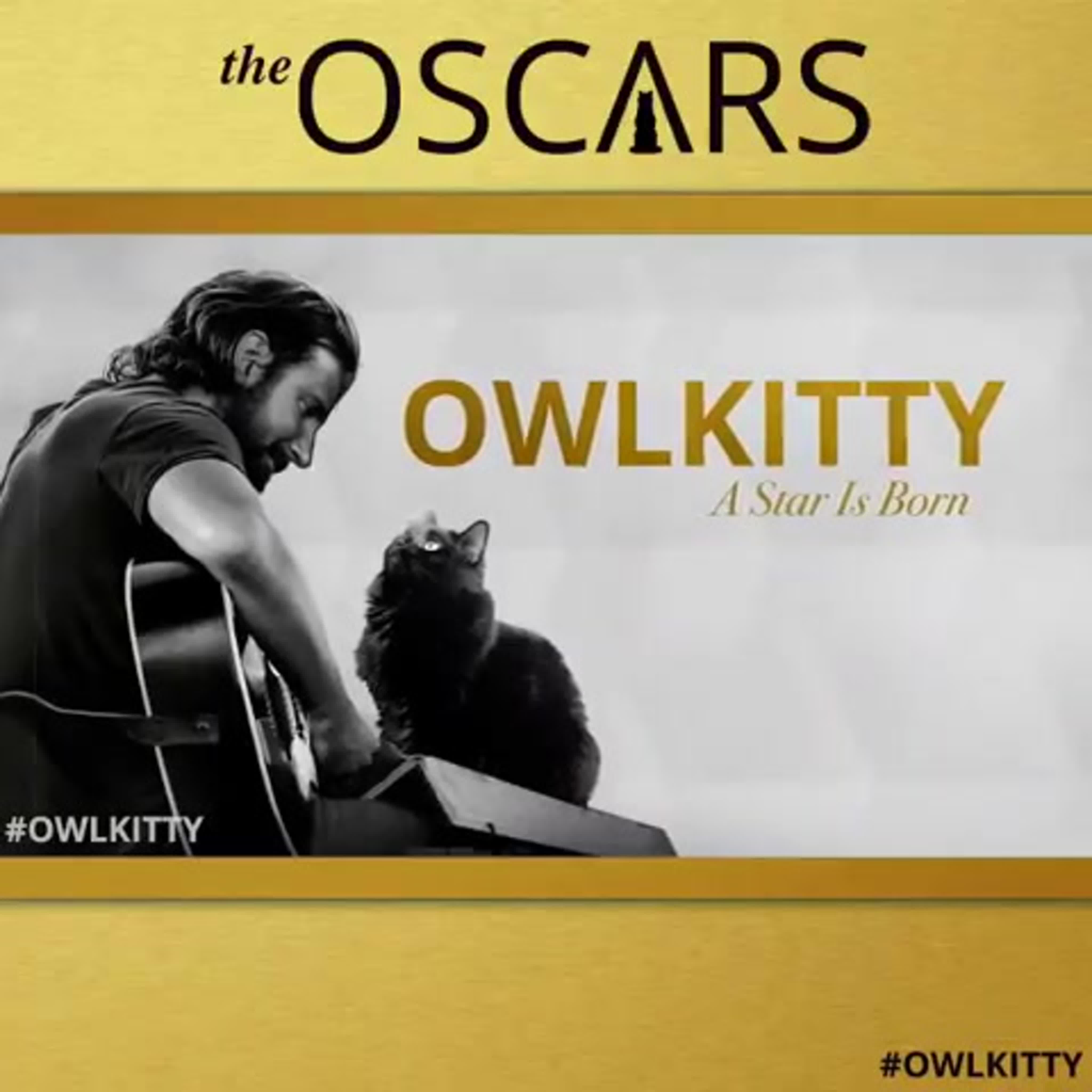 Owlkitty oscars 2 watch online