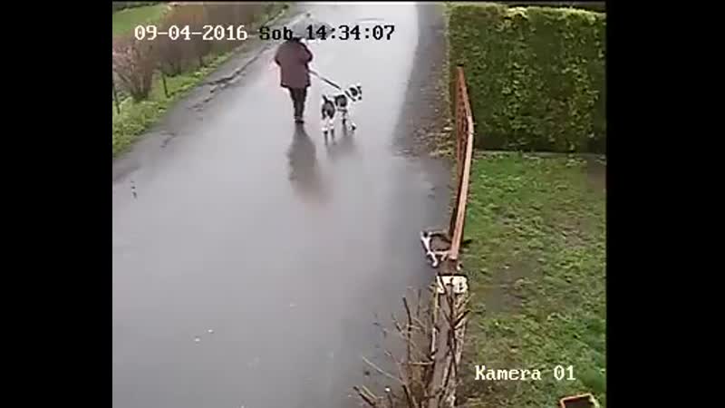 Котэ встрял за братана