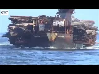 Logs anyone video from @crewing sea ( 270 x 480 ) mp4