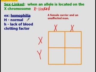 Incomplete dominance, codominance, and sex linked