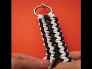 Широкий соломон бар