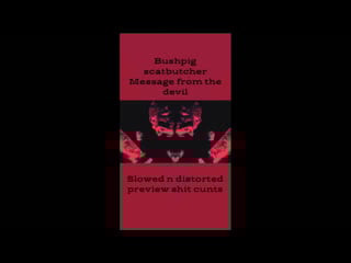 Bushpig scat butcher – «message from the devil» (slowed and distorted)