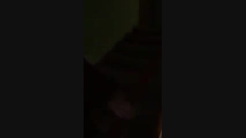 Вежливая соседка