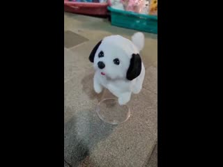 201004 ace exo l bubble