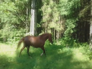 Lite video |игрульки|