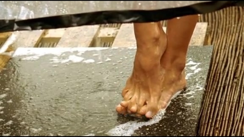 В поисках сокровищ нибелунгов / die jagd nach dem schatz der nibelungen 2008