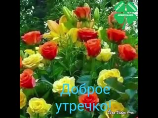 Vid 20190711 wa0004 mp4