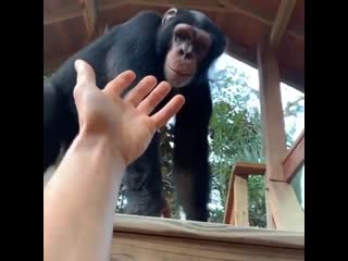 Little buddy ready to lend a helping hand 🤗🙌