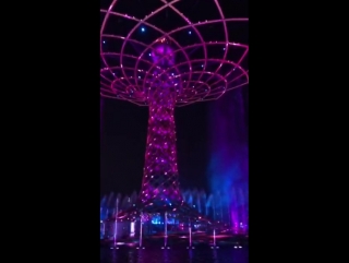 Маленький отрывок грандиозного представления albero della vita дерево жизни expo milano2015