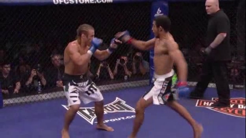 Жозе алдо юрайа фейбер