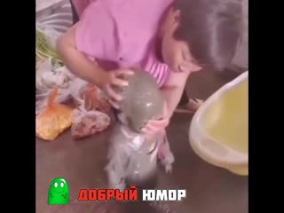 Хорошо погулял дитятко))