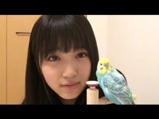 20161115 showroom yabuki nako