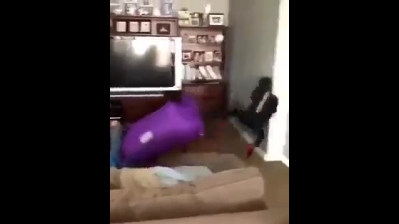 Неожиданно въебали в стенку [рофлы и панчи]