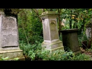 Ancient abney park cemetery in hackney, london