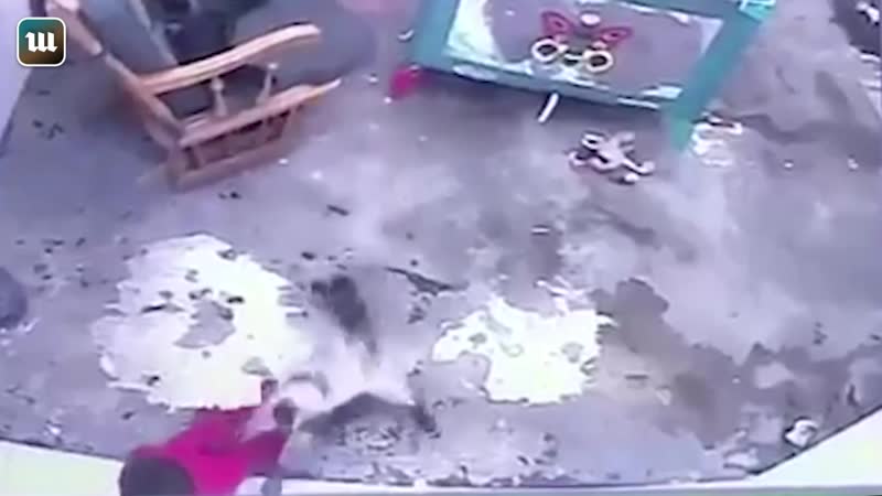 В колумбии кошка спасла годовалого ребенка