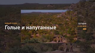 Голые и напуганные / Naked and Afraid