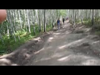 Vid 20200802 140324 mp4