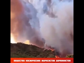 В эрдоганостане дымно курды дымят, по тв говорят