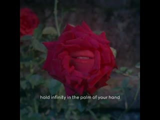 Florence reads ‘auguries of innocence’ a poem by william blake for gucci bloom