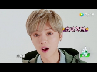 [promo] 170506 "date super star" @ luhan (cut)