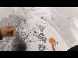 Zimnjaja rybalka lovlja podleschika spcs me mp4