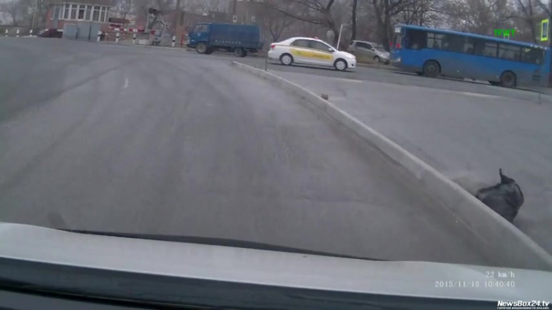 На луговой водитель такси проехал через закрытый жд переезд