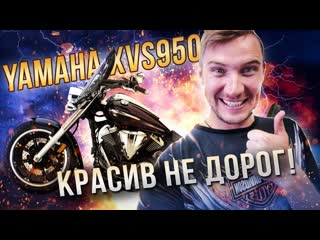 Бюджетный xvs 950 midnight star (v star 950) сравнение с kawasaki vulcan vn900 castom