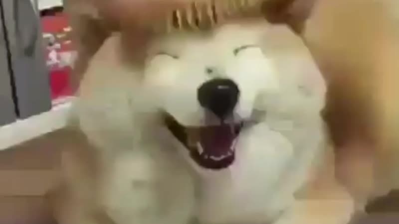 Taegi with namjoon by porn ⁺¹⁸