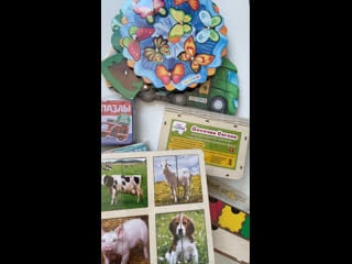 Live «деревянный барашек»