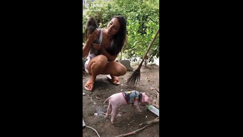 Молодые порно мартышка мавпа макака секс примат