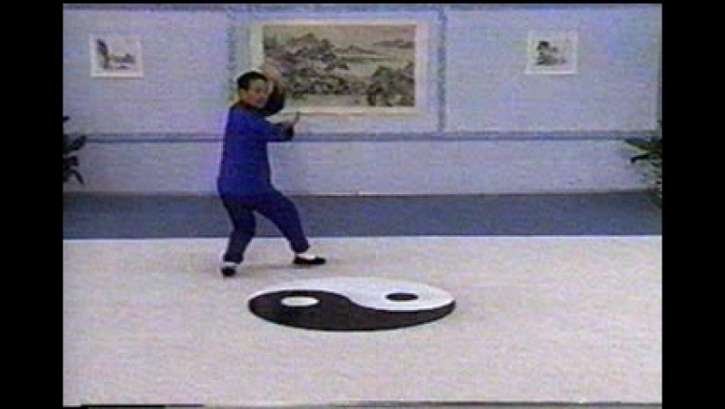 Основы сунь багуа чжан от квон вин лама