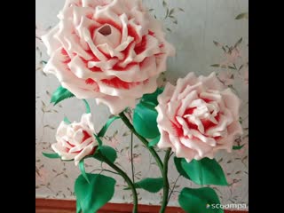 Slideshow 270 20200910 gdl1eb mp4