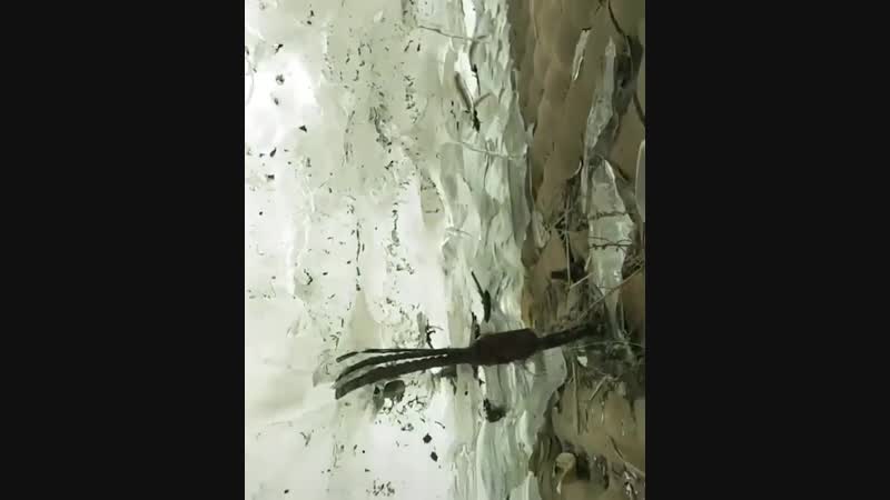 🔥 wall of ice that formed when the area experienced a flood and then a quick freeze the water on top froze while the water unde