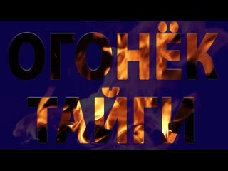 Протесты в белоруссии «методички» для россиян