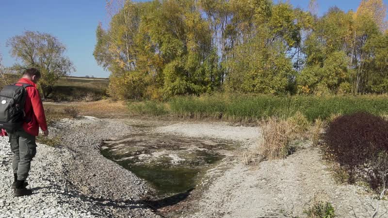 Волжские зарисои