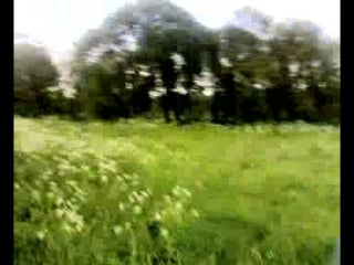Нету рыбы