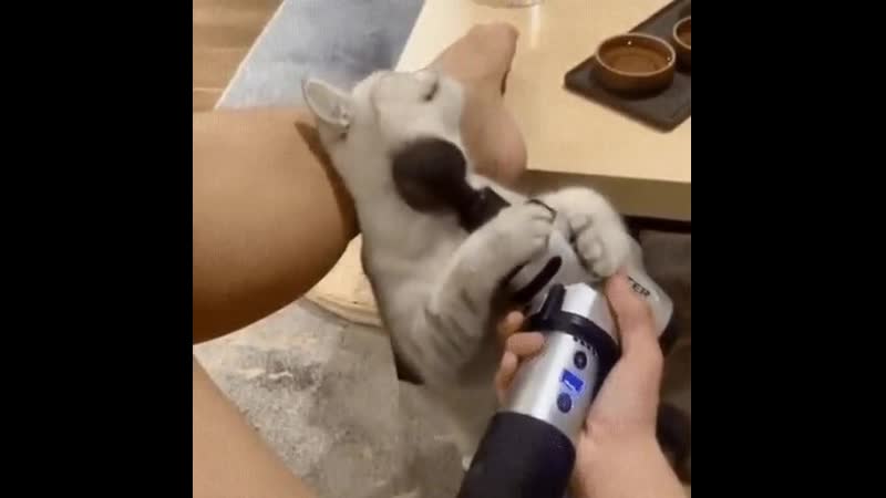 Тут еще вопрос, кому нужнее массаж