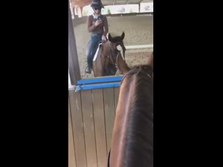 Sarah pollock ana ziconic