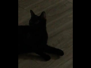 ★ susu ★ ⇒ 30/08/19