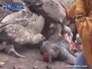 New very graphic tibetan sky burial