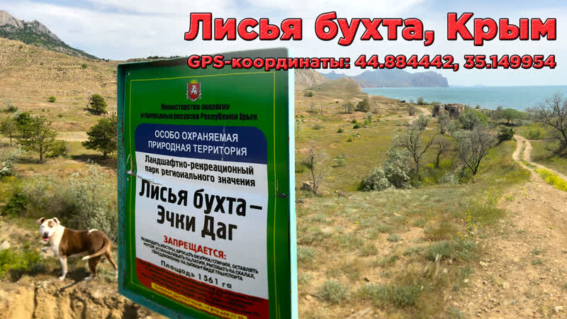 Лисья бухта главный нудистский пляж крыма