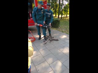 Vid 20190914 113702 mp4