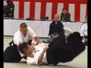 Demonstration of hontai yoshin ryu jujutsu