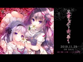 Manakashi no yuri wa akaku somaru op