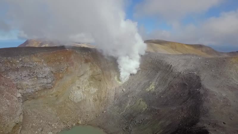 Фильм «земля леопарда, или феномен человека»