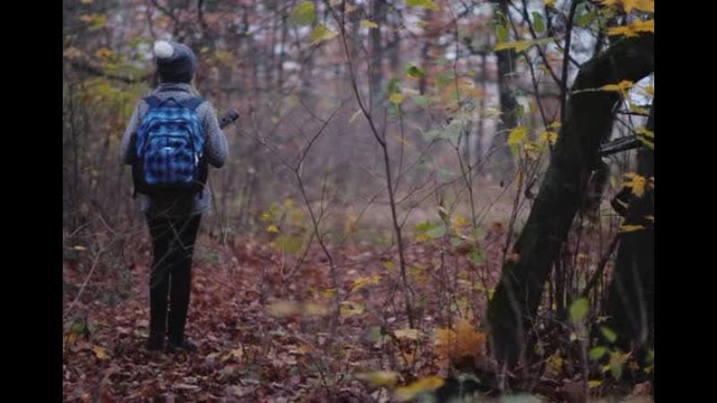 В красноярске школьница хотела напугать подругу фейковым фото в лесу, но случайно погибла