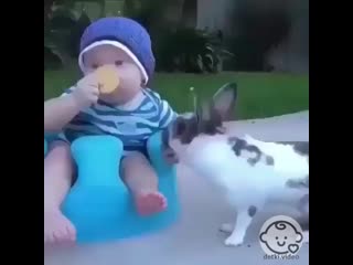 Detki video 20200702 20 mp4