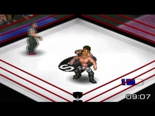 Swf screenshow (crusher couger vs rinzler | best of 3 | swf hardcore championship)