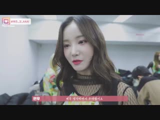 181130 | momoland in 2018 asia artist awards