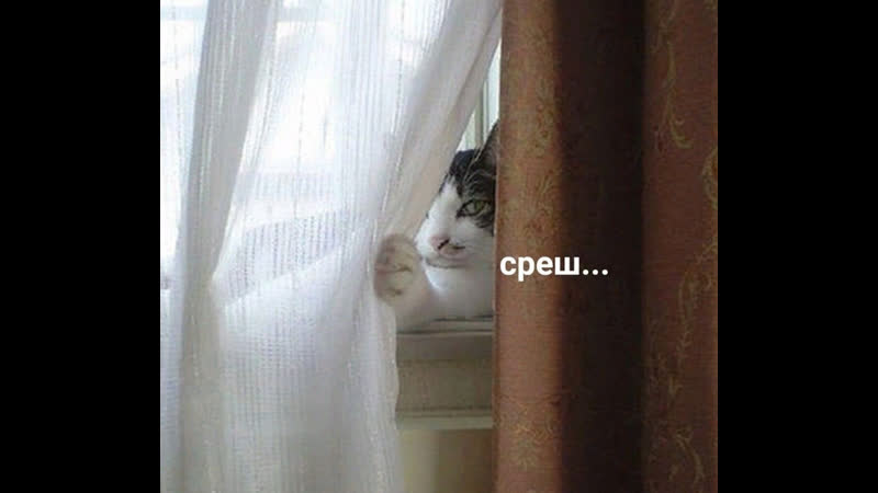 Первое лицо государства даже штору дёргает геополитически